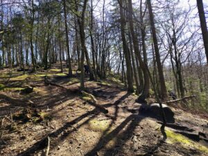 490469792_671276025442828_8292853197184827588_n