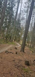 490975126_1023767465778930_113416196448436414_n