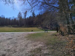 491023350_539440668861925_3341826007843259180_n